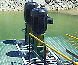 PSI's Deming VTP pumps with thrust-absorbing designs.